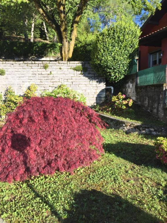 Villa Assunta Premeno エクステリア 写真